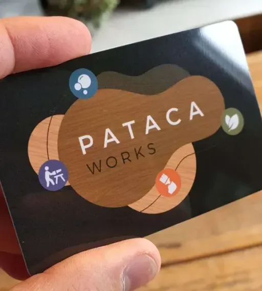 Pataca - Page thumbnail